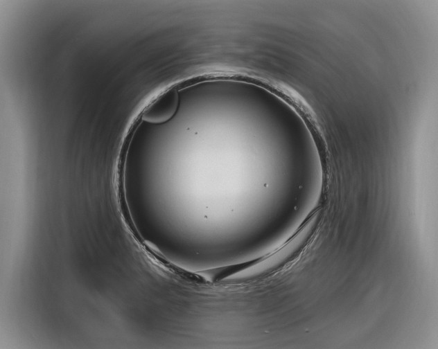 X0000116281183200912071144