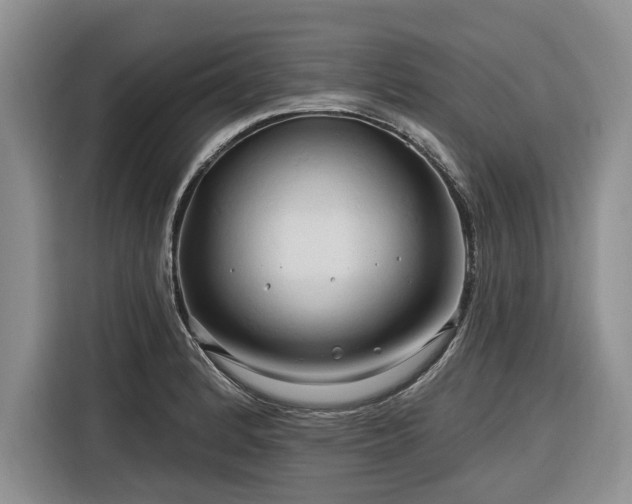 X0000116281184200912071144
