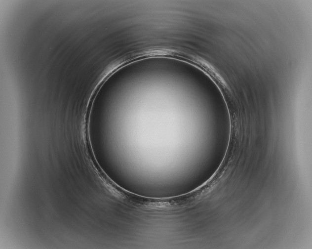 X0000116281186200912071144