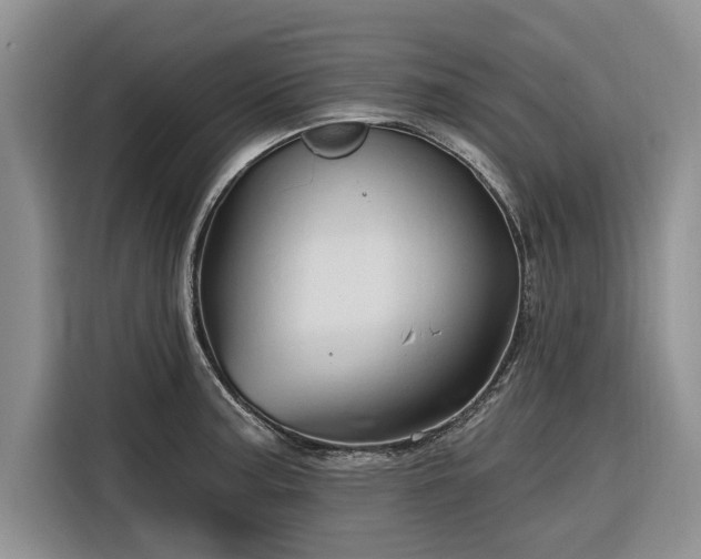 X0000116281187200912071144