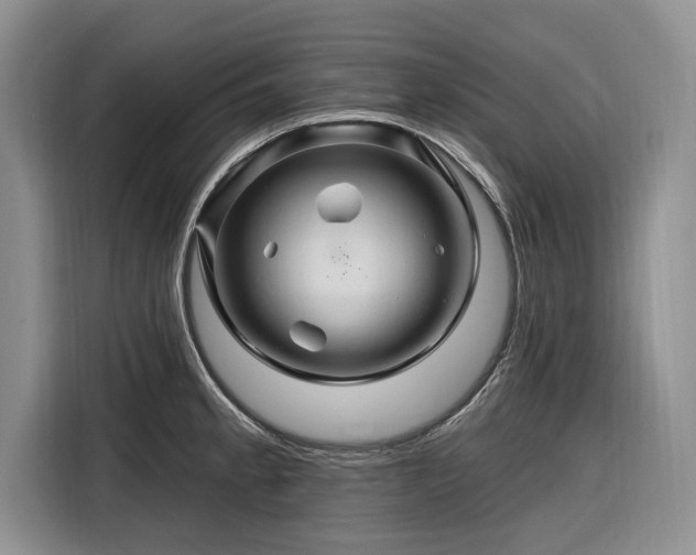 X0000116281189200912071144