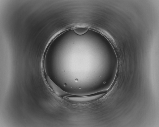 X0000116281190200912071144