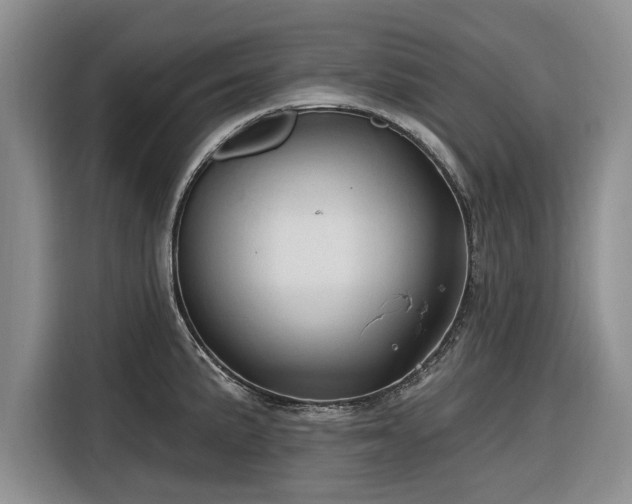 X0000116281191200912071144