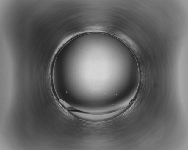 X0000116281192200912071144
