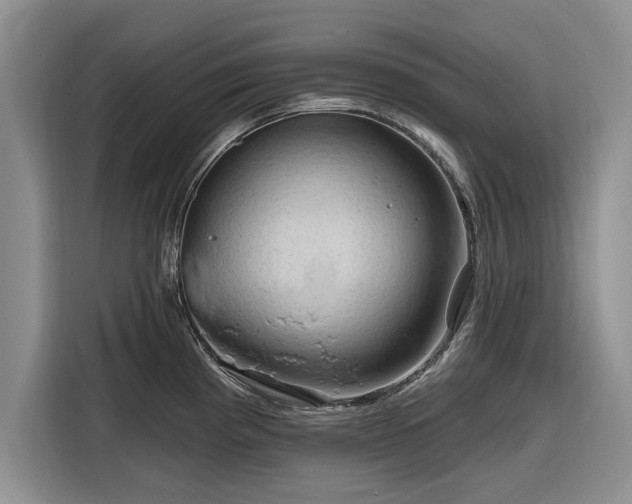 X0000116281193200912071144
