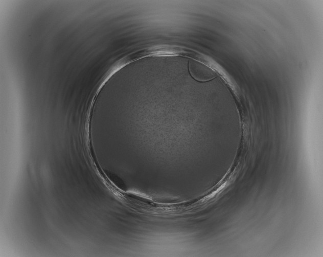X0000116281194200912071144