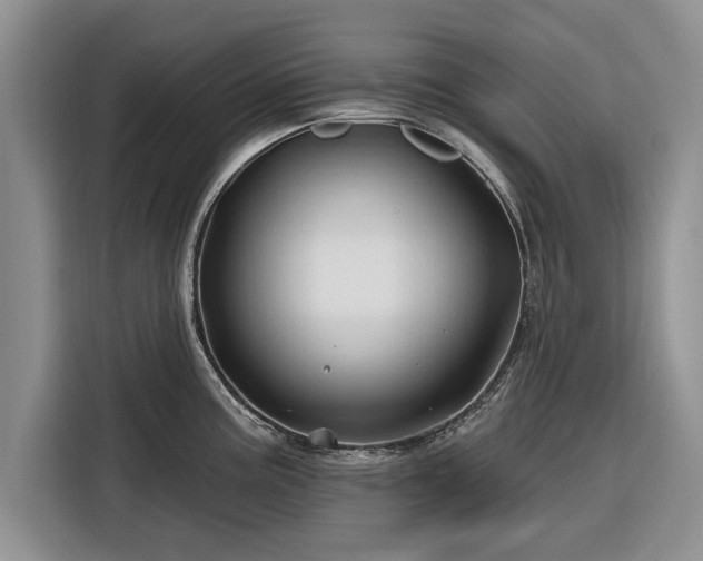 X0000116281195200912071144