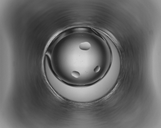 X0000116281196200912071144