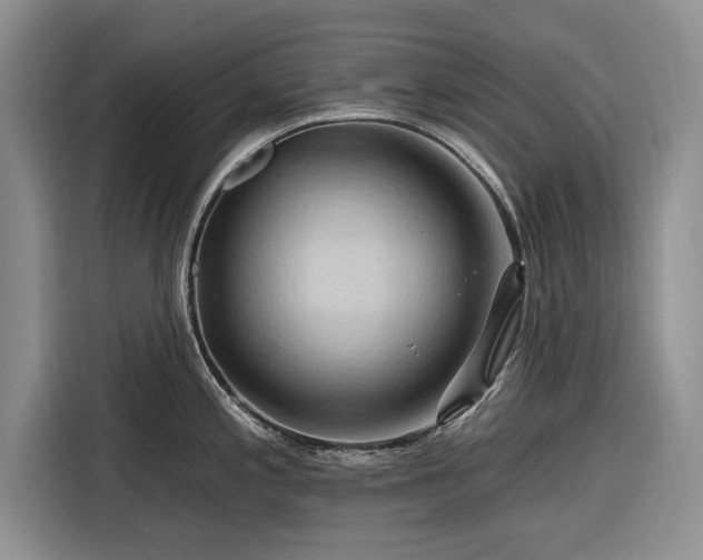X0000116281197200912071144