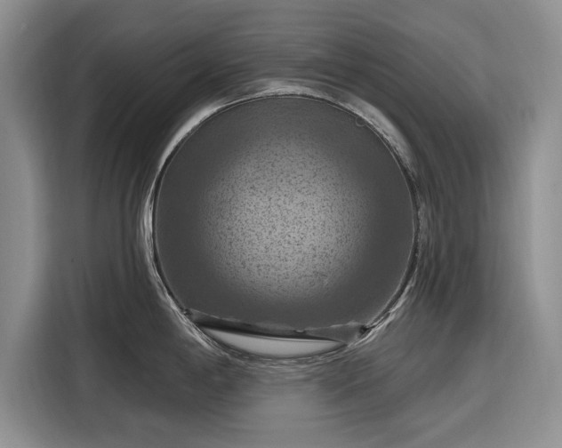 X0000116281198200912071144