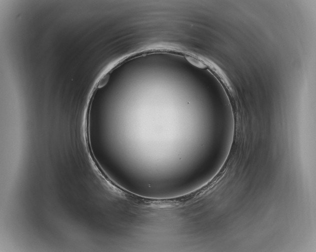 X0000116281199200912071144