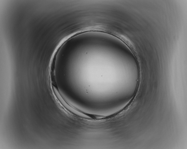 X0000116281200200912071144