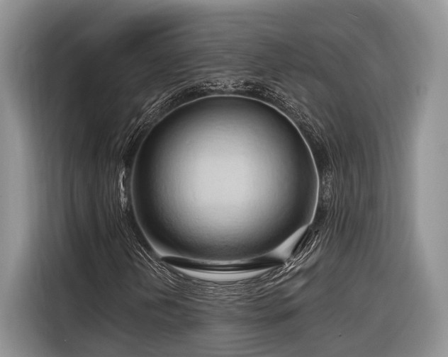 X0000116281202200912071143