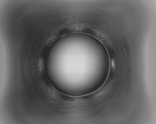 X0000116281203200912071143