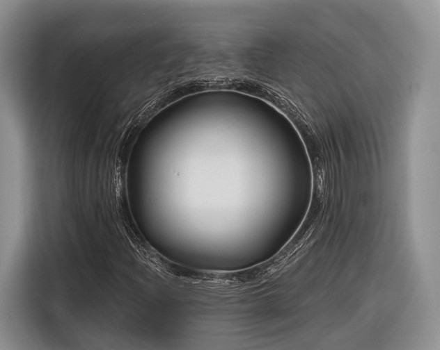 X0000116281204200912071143