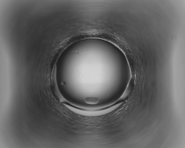 X0000116281205200912071143