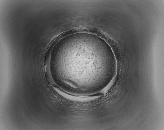 X0000116281206200912071143