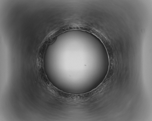 X0000116281207200912071143