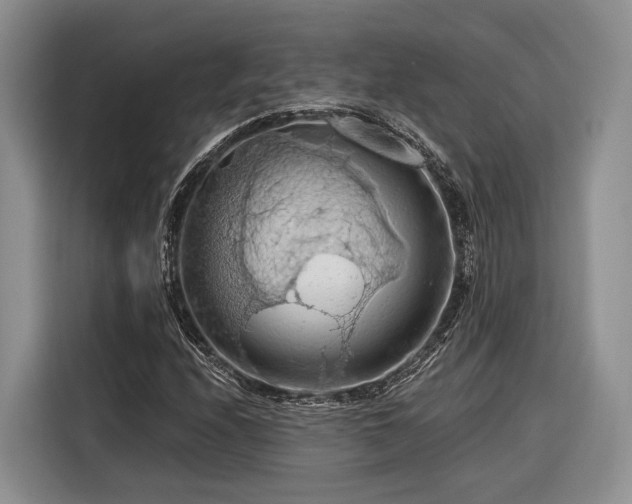 X0000116281208200912071143