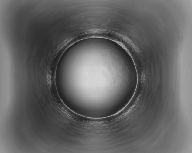 X0000116281209200912071143