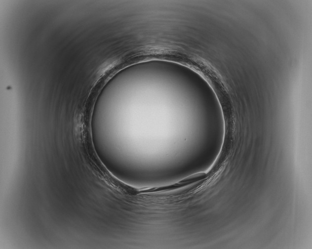 X0000116281210200912071143