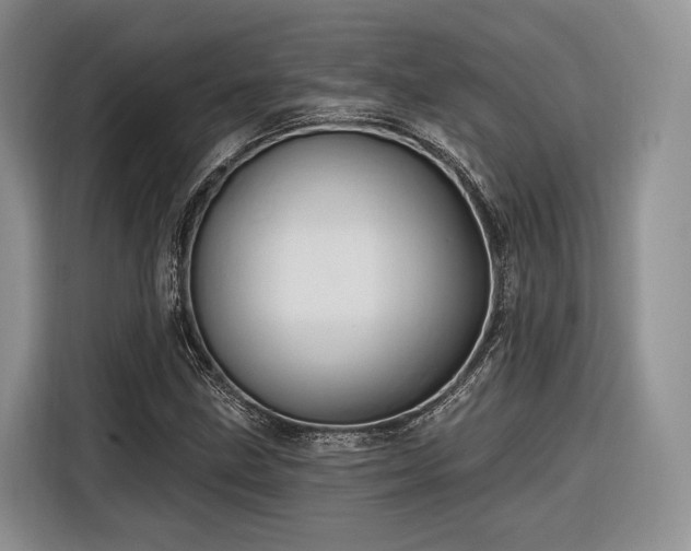 X0000116281211200912071143