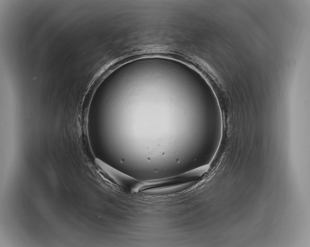 X0000116281212200912071143
