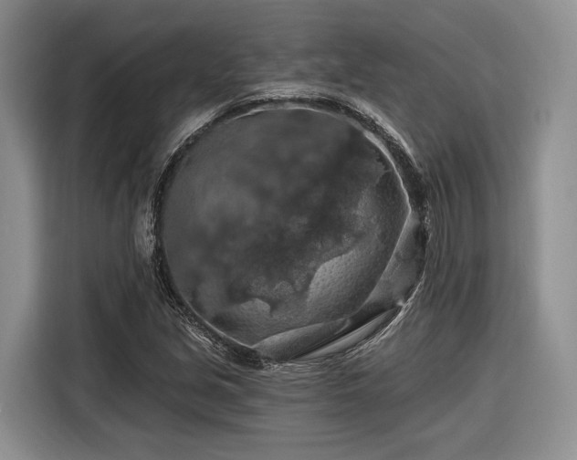 X0000116281213200912071143