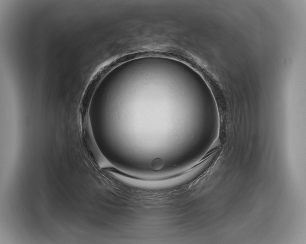 X0000116281214200912071143