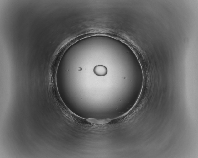 X0000116281215200912071143