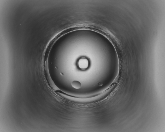 X0000116281216200912071143
