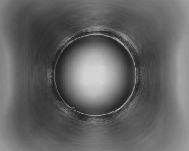 X0000116281217200912071143