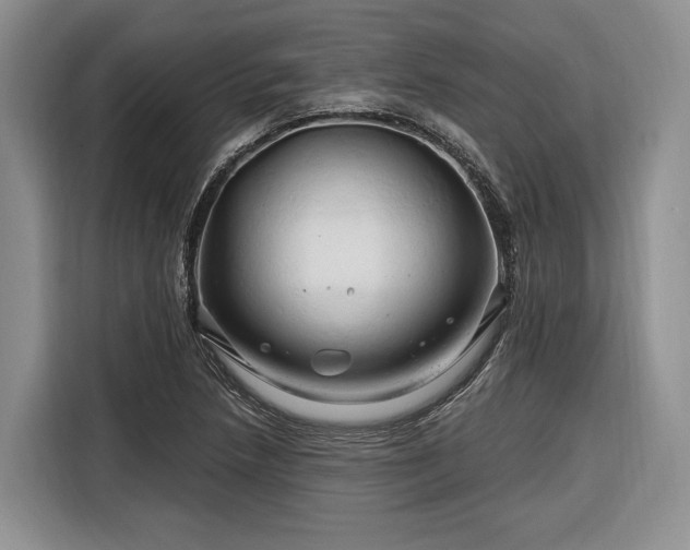 X0000116281218200912071143