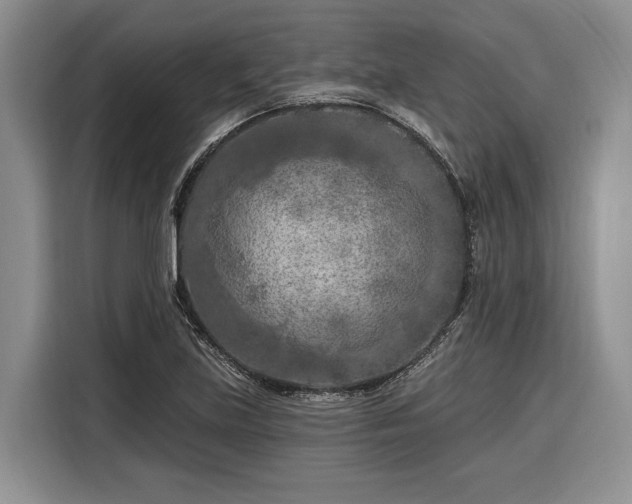 X0000116281219200912071143