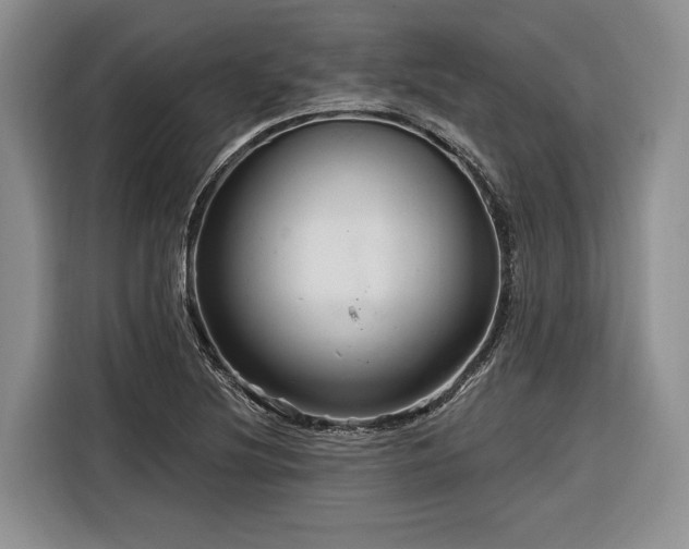 X0000116281220200912071143