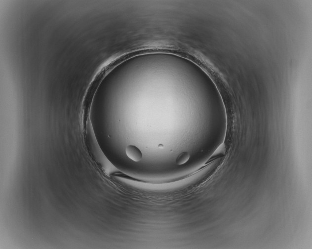 X0000116281222200912071143