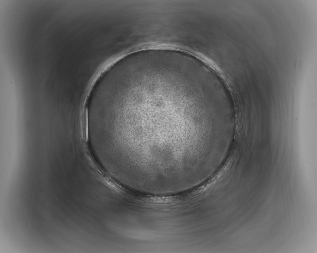 X0000116281223200912071143