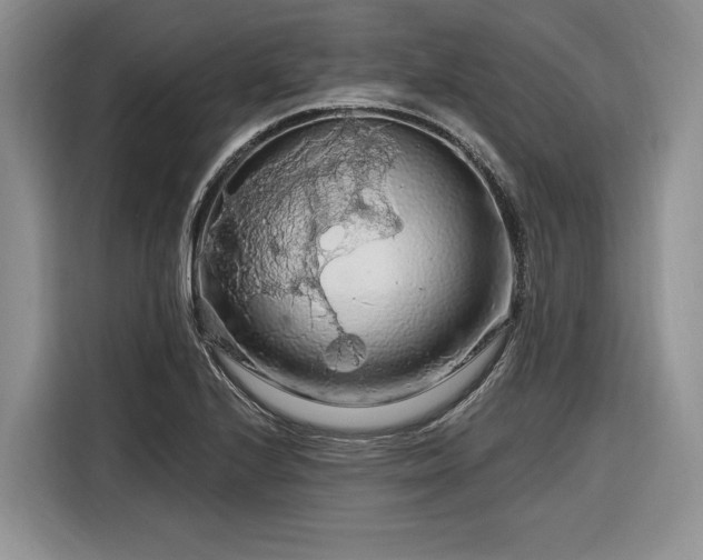 X0000116281224200912071143