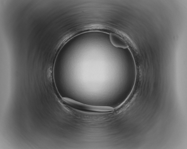 X0000116281225200912071143