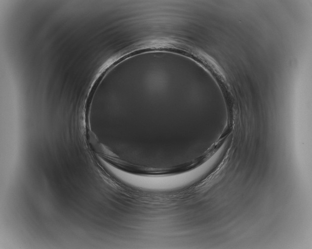 X0000116281226200912071143