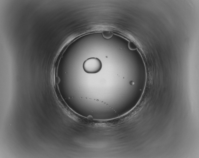 X0000116281227200912071143