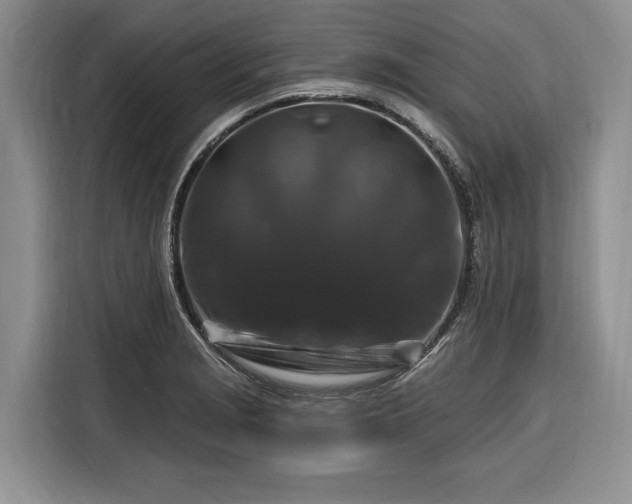 X0000116281229200912071143