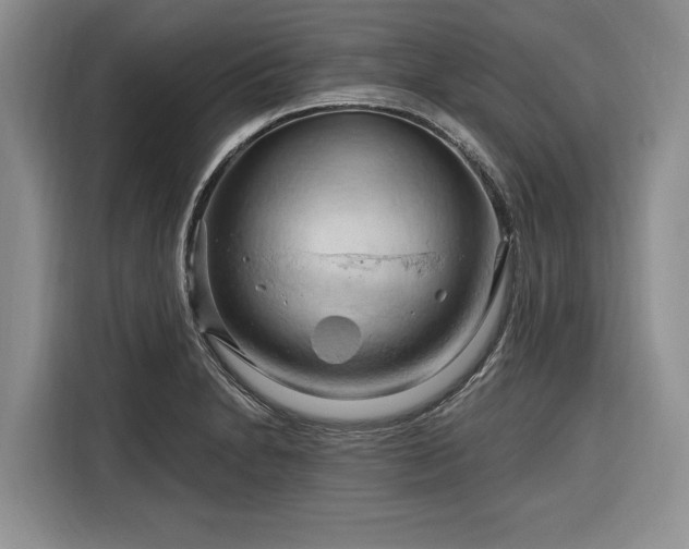 X0000116281230200912071143