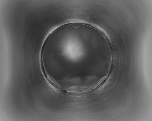 X0000116281231200912071143