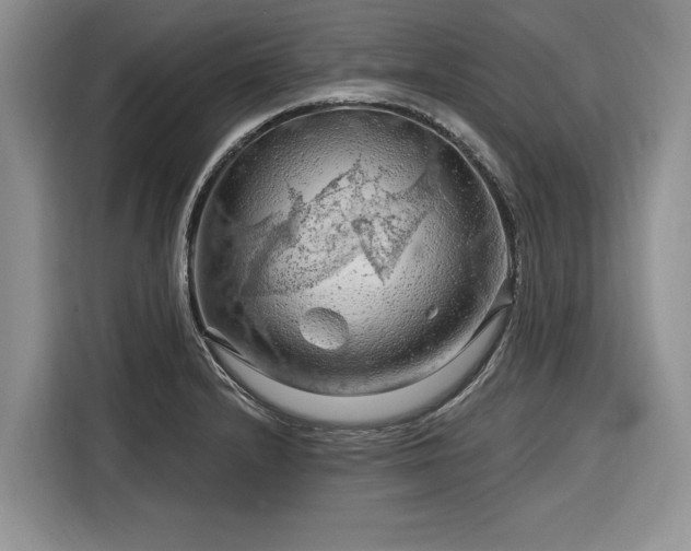 X0000116281232200912071144