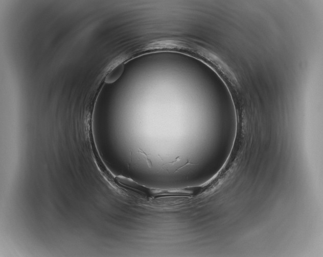 X0000116281233200912071144