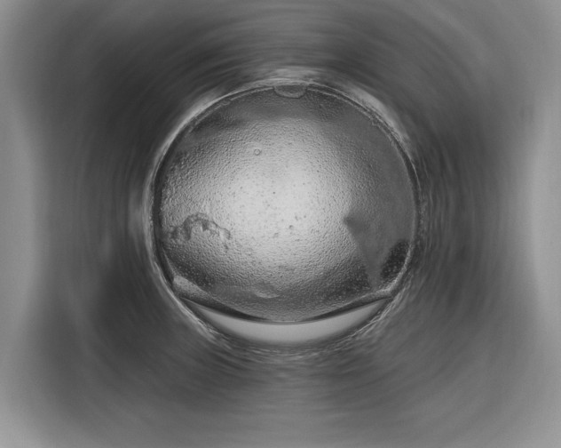 X0000116281235200912071144