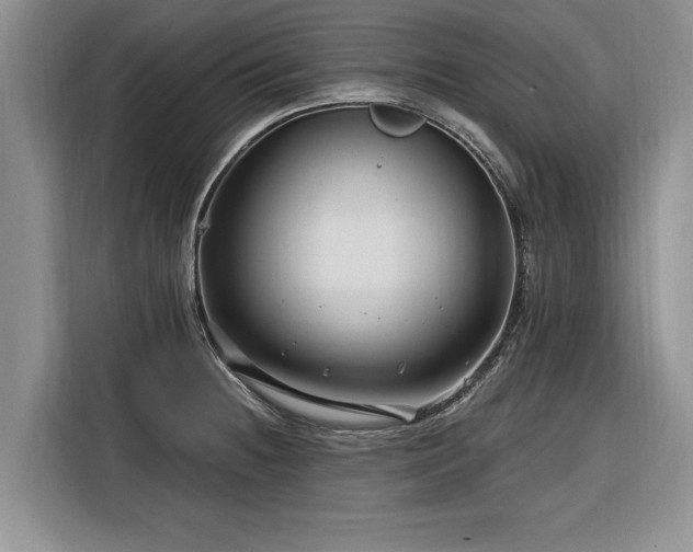 X0000116281236200912071144