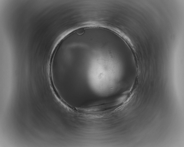 X0000116281239200912071144