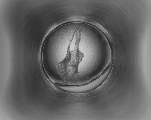 X0000116281240200912071144
